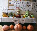 Акция "Подарки осени"